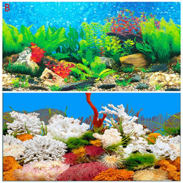 Gambar Wallpaper Aquarium  | Background Aquarium | Gambar Latar Belakang Aquarium per Meter