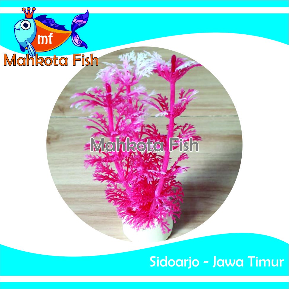 Hiasan Aquarium CEMARA | Bunga Plastik Aquarium | Bunga Hiasan Aquarium | Tanaman Hias Aquarium