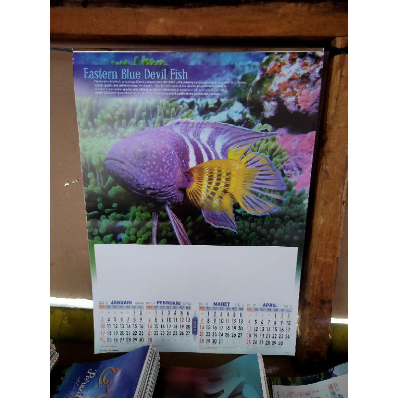 Kalender dinding caturwulan 2021 / Kalender Dinding / dunia laut