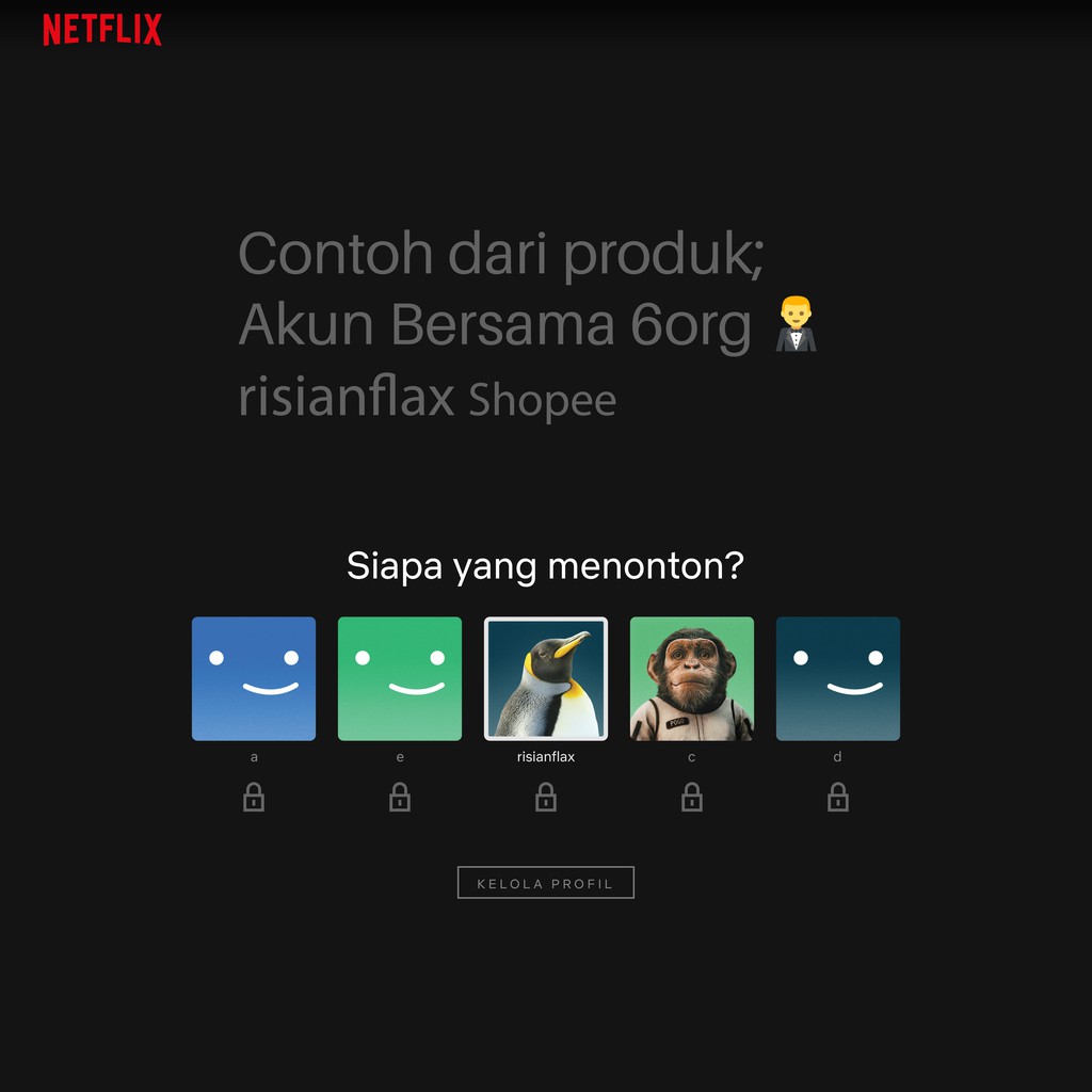 Akun Flix Premium Private Lifetime Seumur Hidup Selamanya Termurah Indonesia
