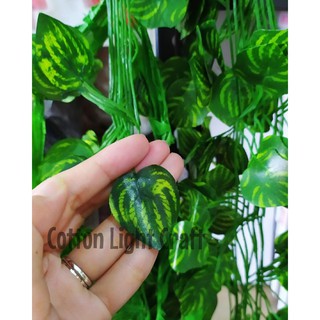 Daun Rambat Plastik Semangka 2  meter  Wire Grid  Daun Rambat Plastik Semangka 2  meter  Wire Grid