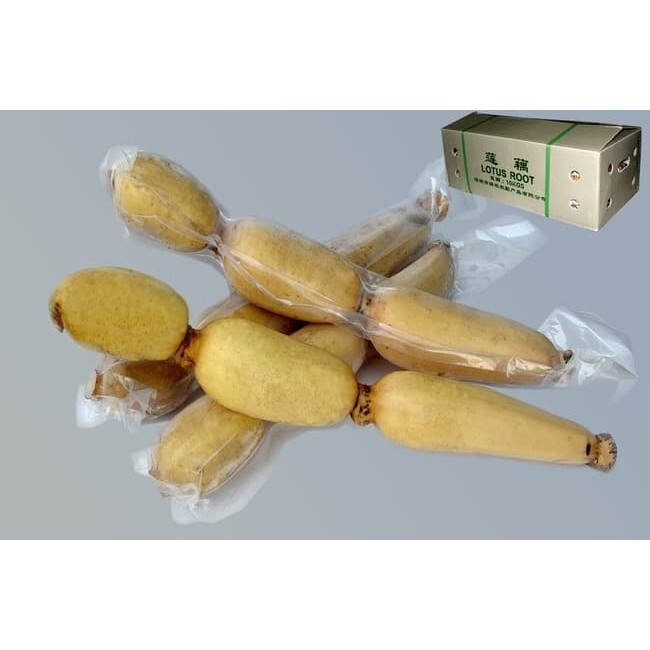 Akar Teratai Lotus Root 500 g