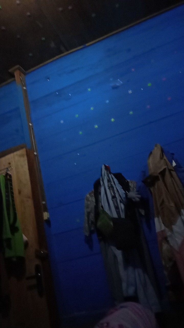 Silicone Face Cleaning Brush Jelly Fish / Gurita / Dolphin Lumba Lumba