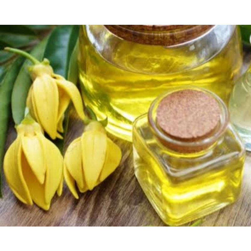 YLANG YLANG OIL 100% PURE ESSENTIAL OIL