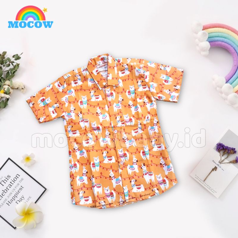 Boy Shirt Catra Pen/Baju anak cowok