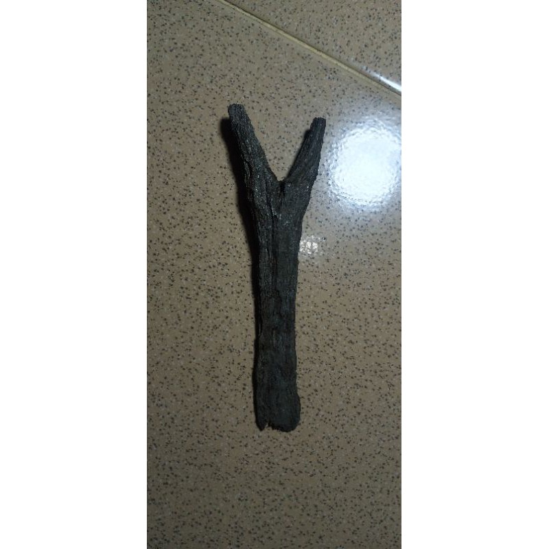 tombak dwisula sepuh