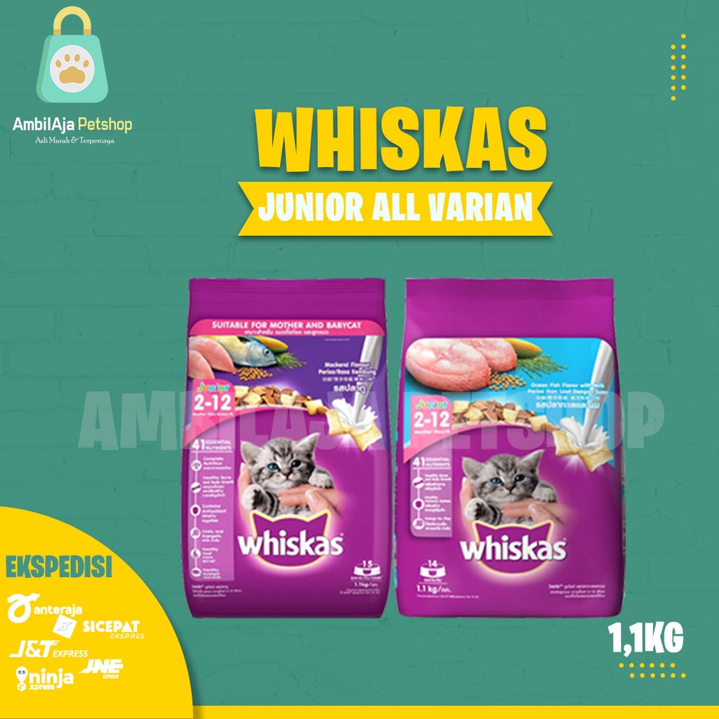 Makanan Kucing kering murah WHISKAS JUNIOR 1,1kg All Varian