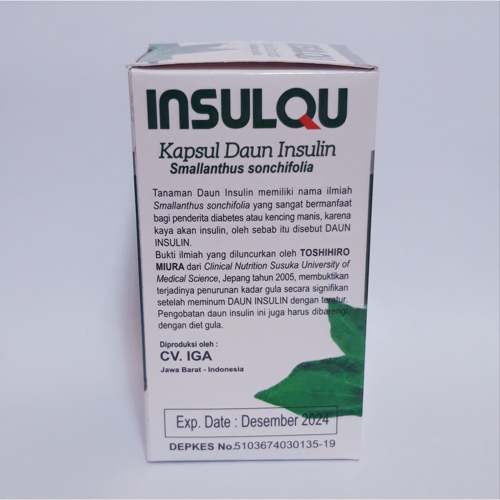 INSULQU Kapsul Daun Insulin Mengatasi Diabetes