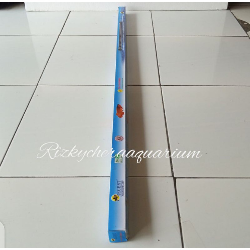 lampu celup Led aquarium recent RCL-1200-ARWANA 18W 120cm