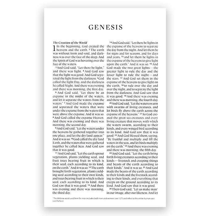 ESV LARGE PRINT THINLINE TRUTONE BIBLE BURGUNDY