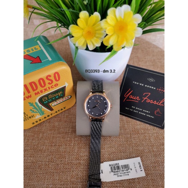 Fossil Woman's Watch BQ3393