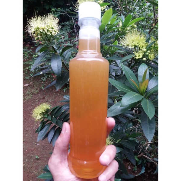 

madu murni tanpa campuran/raw honey