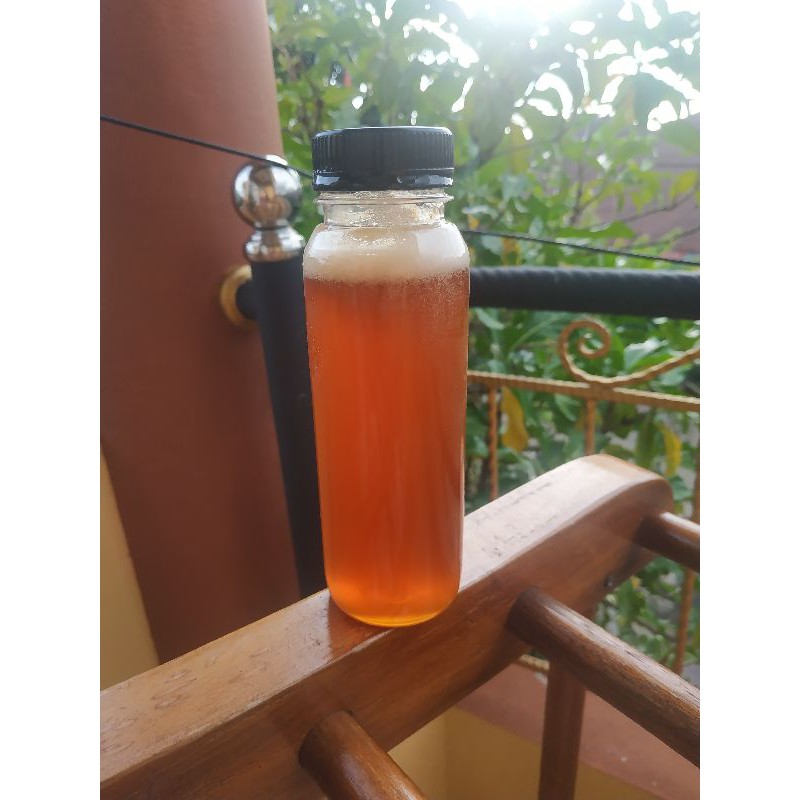 

madu kelulut atau kelenceng asli Kalimantan 250ml