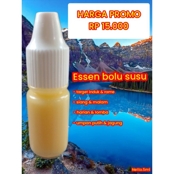 essen bolu susu