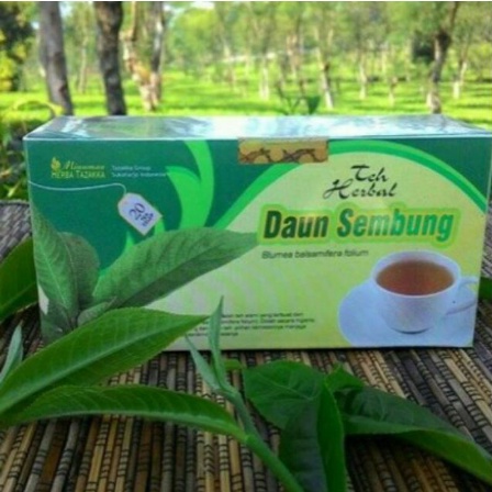 

Teh Celup Herbal Daun SEMBUNG - Teh kesehatan anti bakteri Mencegah & obati pembekuan darah aman di konsumsi Halal Original