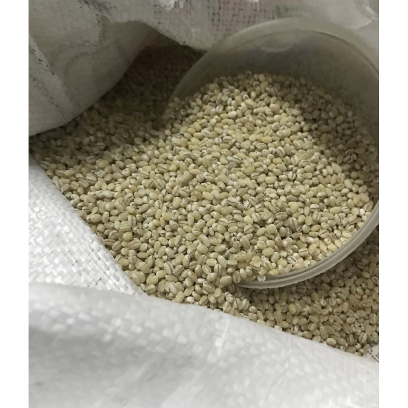 Jali Jali RRT / Barley / Biji Barley 500gram