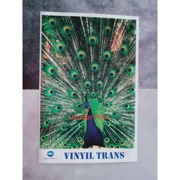 

Print & Cetak Sticker Stiker Vynl A3+