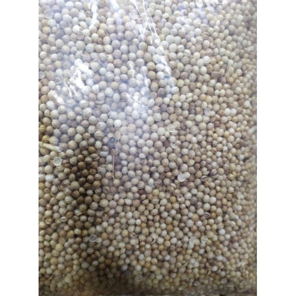 

KETUMBAR BULAT KUNING/KETUMBAR BULAT BERSIH