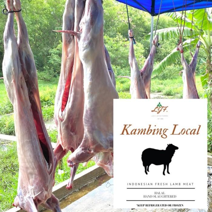 

Meat | Daging Kambing Fresh, Karkas Kambing Muda