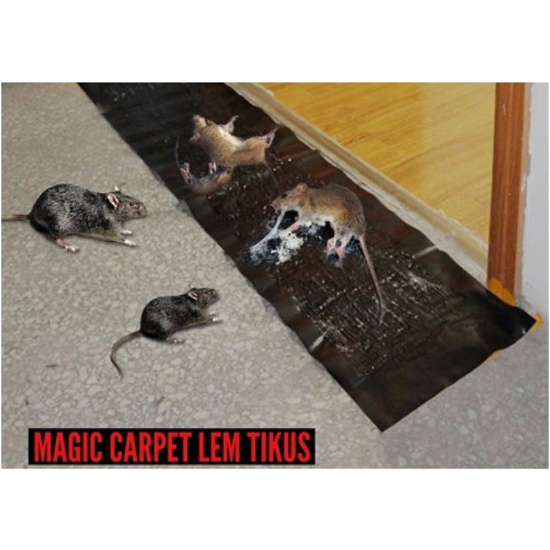 (NCS) Lem Tikus Karpet Ajaib Super Besar Magic Carpet Super Besar Jumbo Pasti Dapat Tikus 1,2 Meter 1.2 M