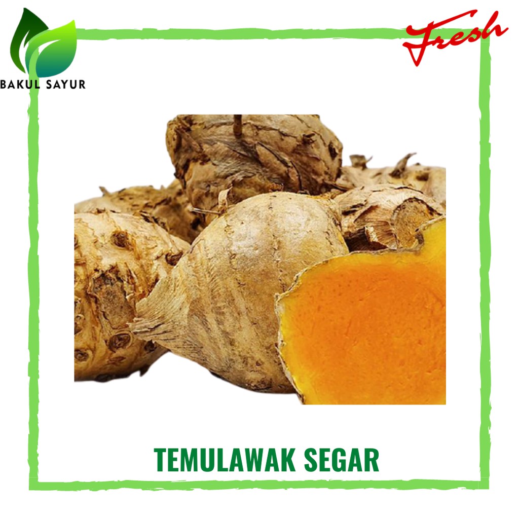 

TEMULAWAK SUPER PILIHAN BESAR / BUMBU TEMULAWAK 250 GRAM - SAYUR SEGAR JAKARTA TIMUR