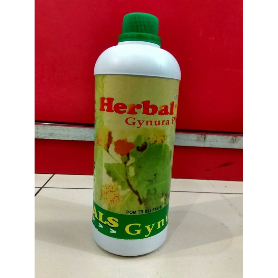 

Herbal gynura plus(daun dewa)-