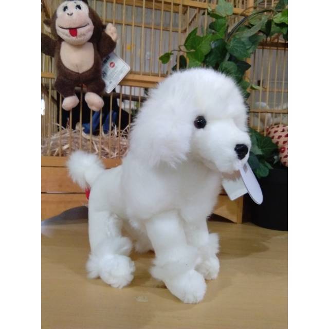 Boneka Anjing Pudel Poodle Shopee Indonesia