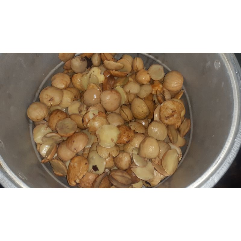 

jengkol rebus siap olah 1kg