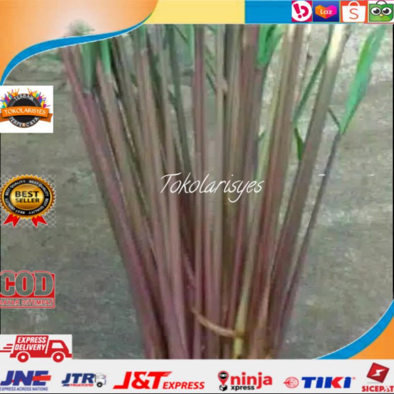 

SERAI MERAH/SEREH WANGI 250 GRAM