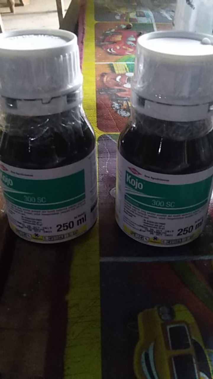 Fungisida Kojo 300ec 250ml