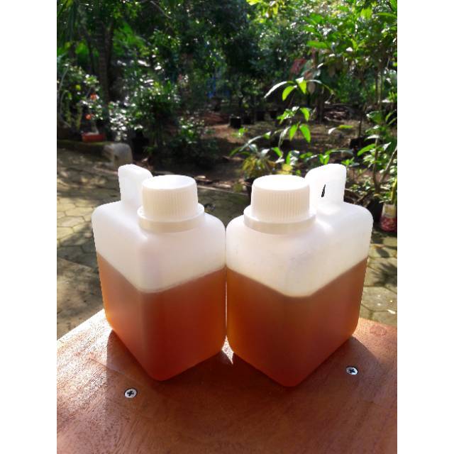 

Madu Apis Melifera - Madu Kelengkeng 500gr - Madu Murni dari Lebah Apis Melifera