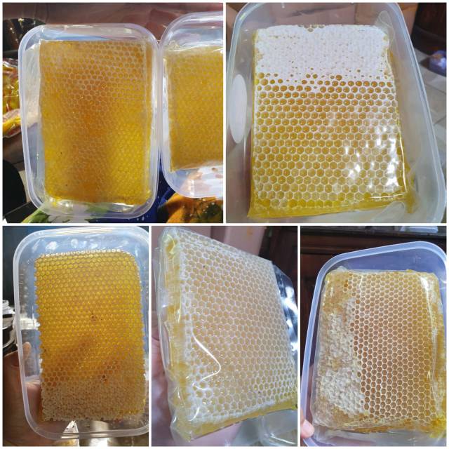 

Madu sarang