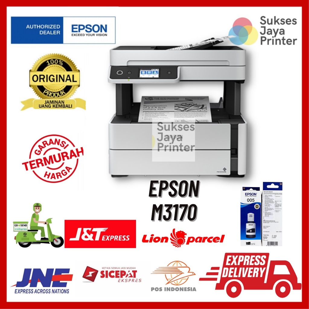 epson printer M3170