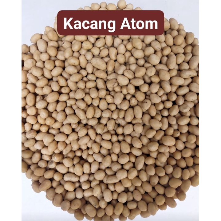 

.1 Ball 3 Kg Kacang Atom / Kacang Oven (ds bgr)