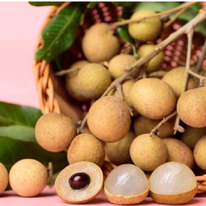 

Puri Segar Shop, Buah Kelengkeng / Lengkeng Bangkok Segar 500 Gram