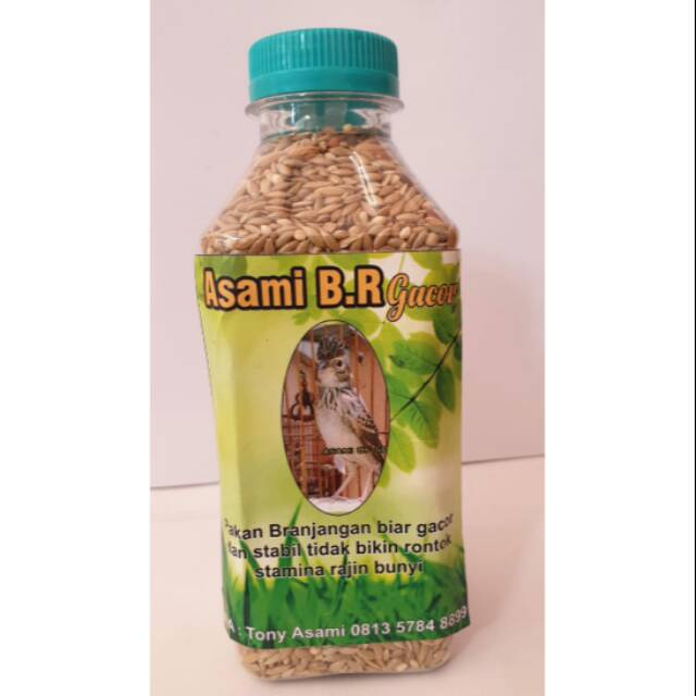 Pakan BR Gacor Pakan Asami