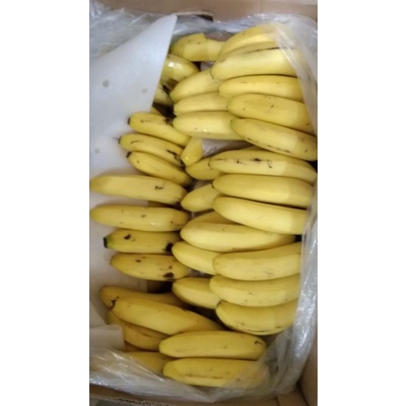 

pisang sunpride fs