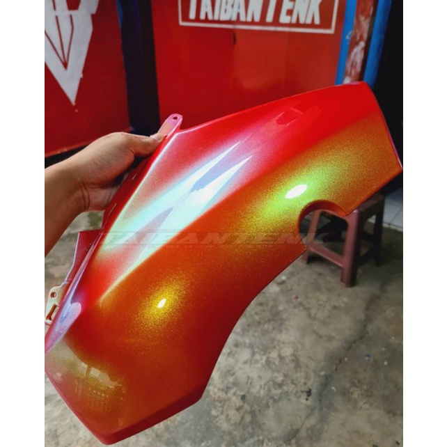 cat bunglon Taibantenk Galileo