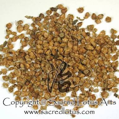 

10 G 50 GR 100 GRAM 野甘菊花 YE GAN JU HUA TEH BUNGA WILD CHRYSANTHEMUM FLOWER TEA CHINESE LITTLE CHAMOMILE