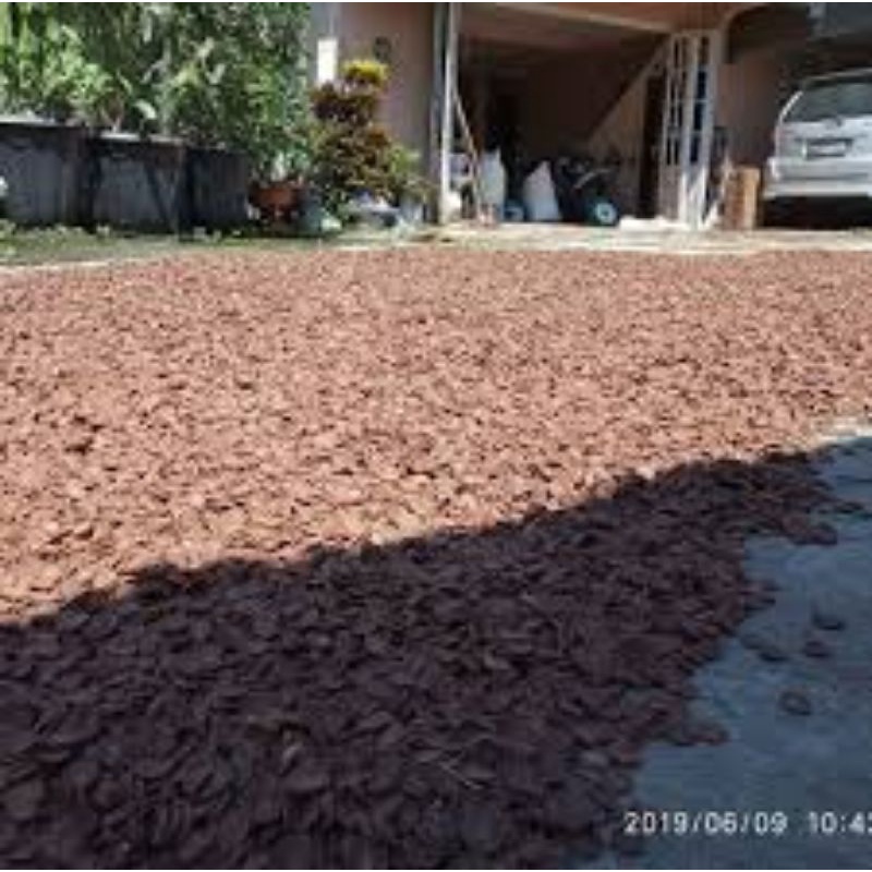

Pinang Iris Kering kualitas super