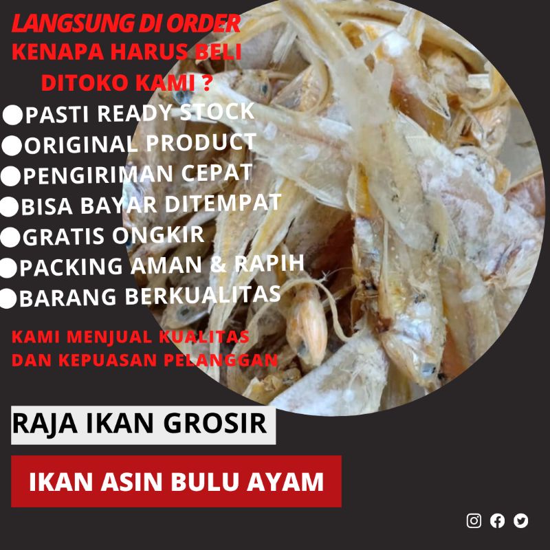 

IKAN ASIN BULU AYAM 500 GRAM TERJAMIN BAGUS