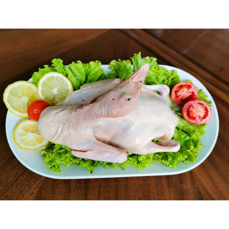 

daging bebek hibrida super 1.3kg