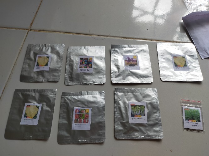 Benih Bibit Bunga Mawar Mixed 25 Warna (isi 50 Biji)