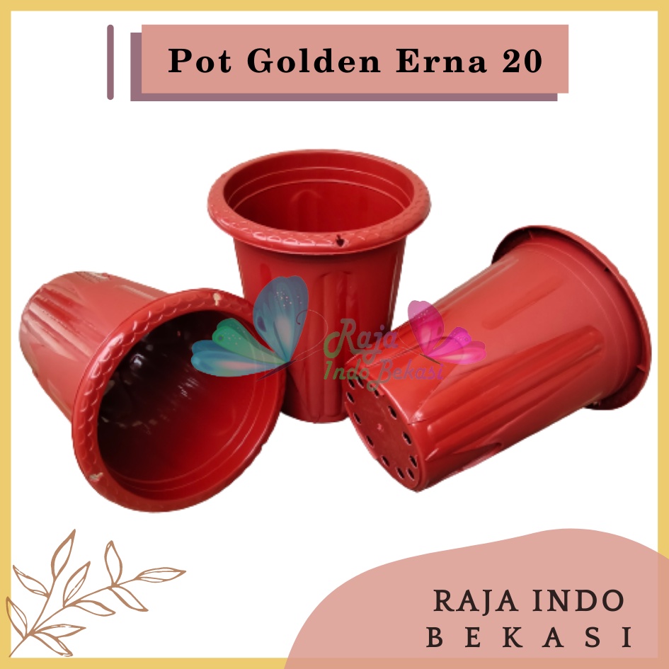 Pot Golden Erna 20 Merah Bata Coklat Terracota Terracotta Garden Of Love Mirip Pot Yogap 18 19 25 Murah  Putih Coklat Merah Bata Bening Transparan Pot Yogap 18 19 25 Pot Yogap Murah Pot Bunga Tinggi Pirus Tegak Bagus Tebal