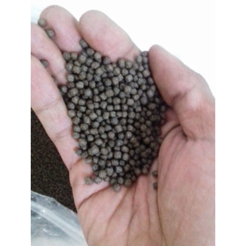 pakan lele prima feed Lp-3 repack 1kg 3mili untuk ikan remaja