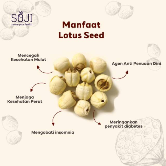 

Biji Lotus (10gr)