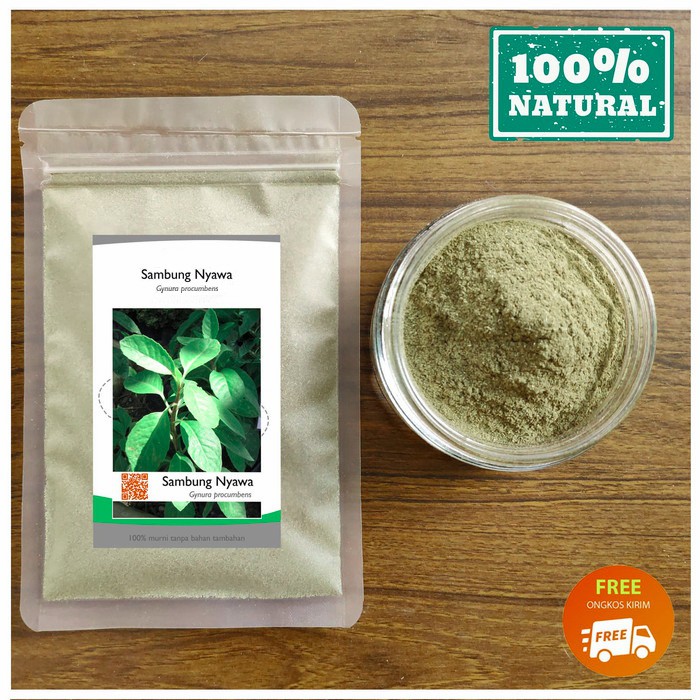 

Bubuk Sambung Nyawa 250 g Serbuk Daun Sambung Nyowo Simplisia Gynura procumbens