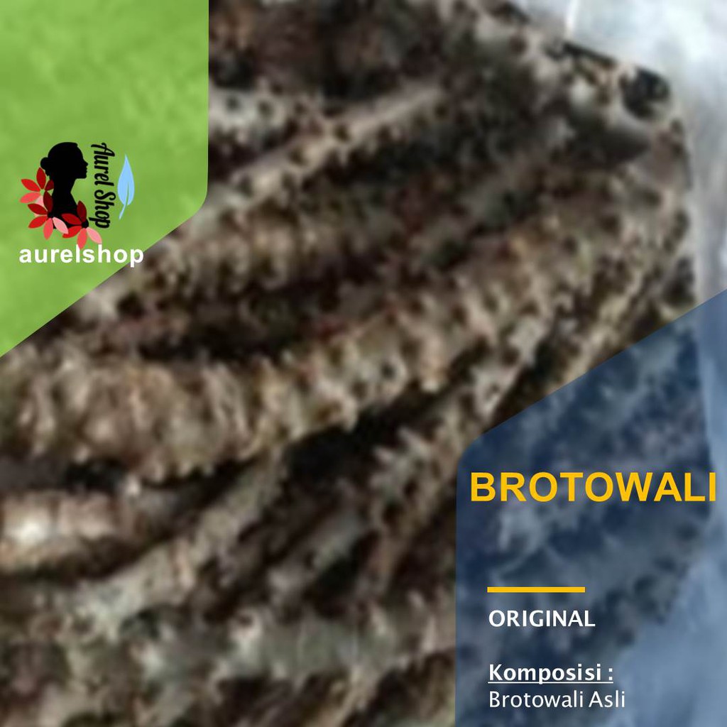 

500 gram Brotowali Segar