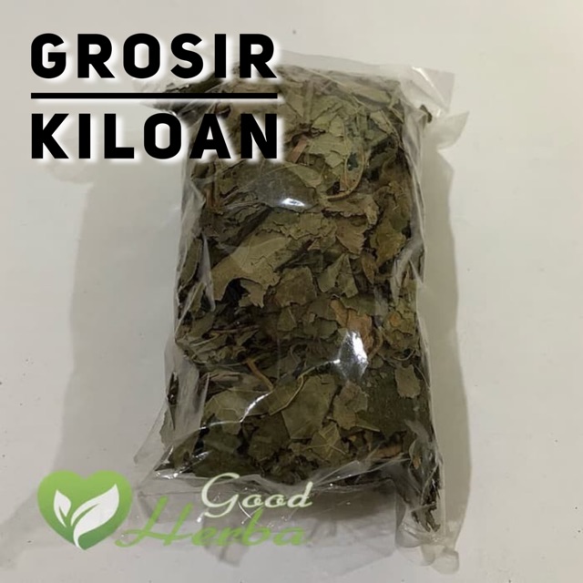 

Daun Jati Belanda Kering 1kg Kiloan Grosir