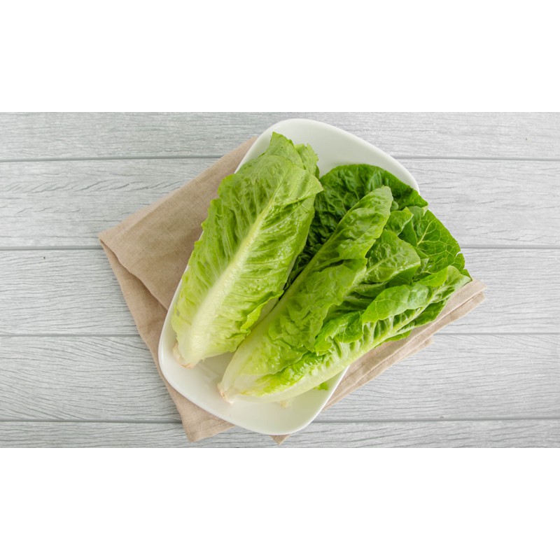 

KIRIM INSTANT Lettuce Romaine